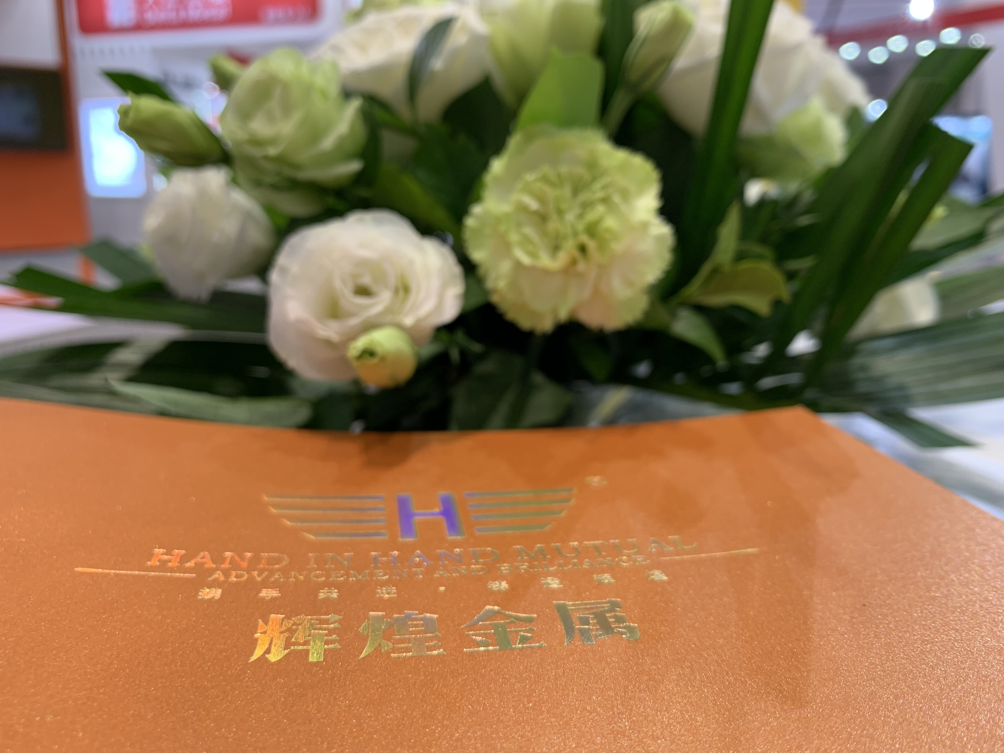 1731994908245026.jpg IMG_3533.JPG