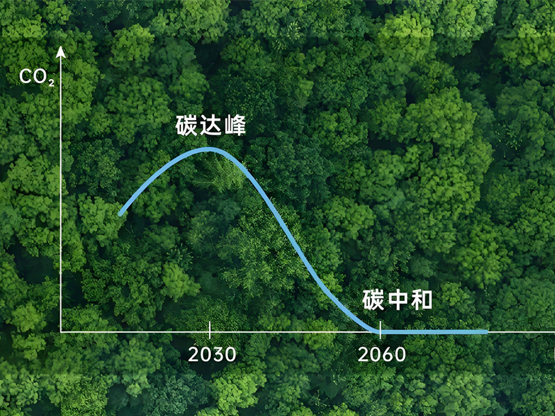 1732266024845402.jpg 1.jpg