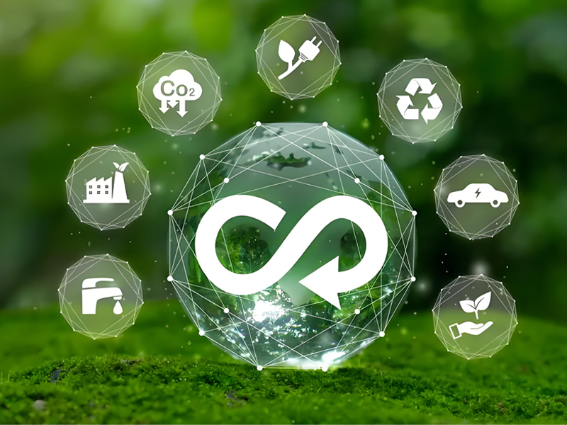 1732266030273658.jpg 2.jpg