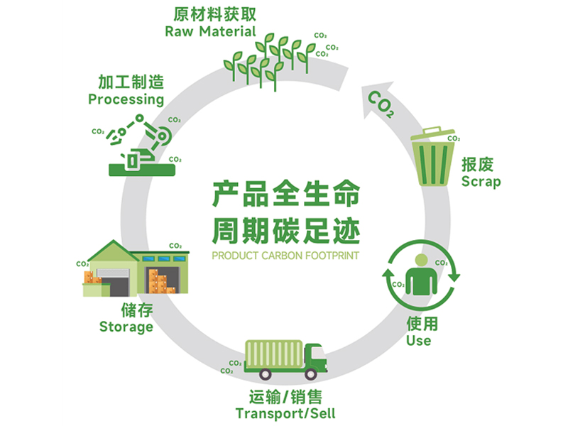 1732329822200392.jpg 4.jpg